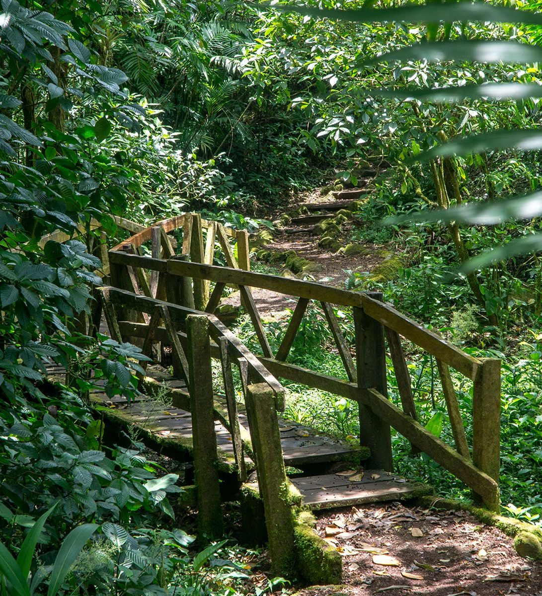 Rondreis Nicaragua, Mombacho vulkaan, excursie Hike de Puma trail, pad Rondreis Nicaragua, Mombacho vulkaan, excursie Hike de Puma trail, pad
