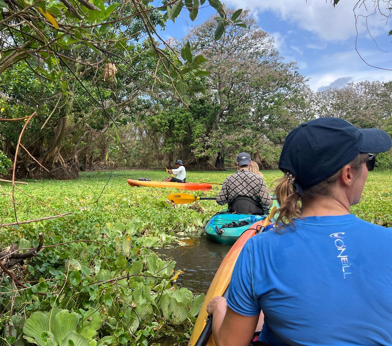 Rondreis Nicaragua, Ometepe Island, excursie Kajakken op de Istian Rivier, gids met kajaks
