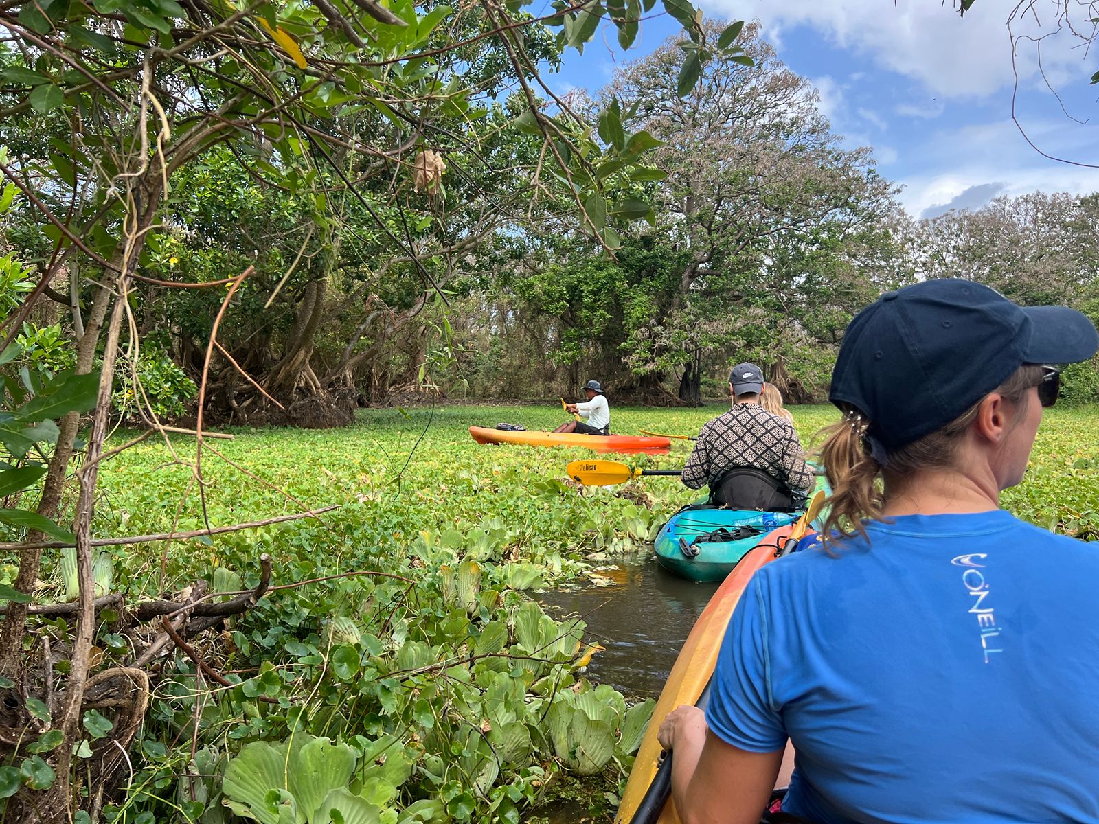 Rondreis Nicaragua, Ometepe Island, excursie Kajakken op de Istian Rivier, gids met kajaks