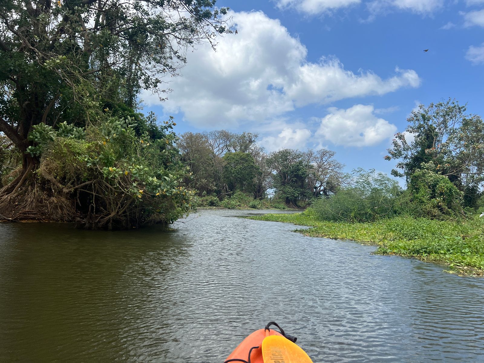 Rondreis Nicaragua, Ometepe Island, excursie Kajakken op de Istian Rivier, kajak