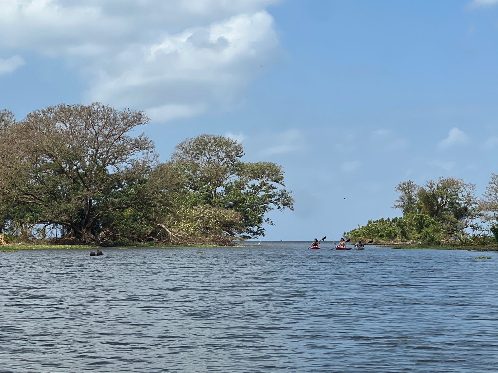 Rondreis Nicaragua, Ometepe Island, excursie Kajakken op de Istian Rivier, kajakken riviermond