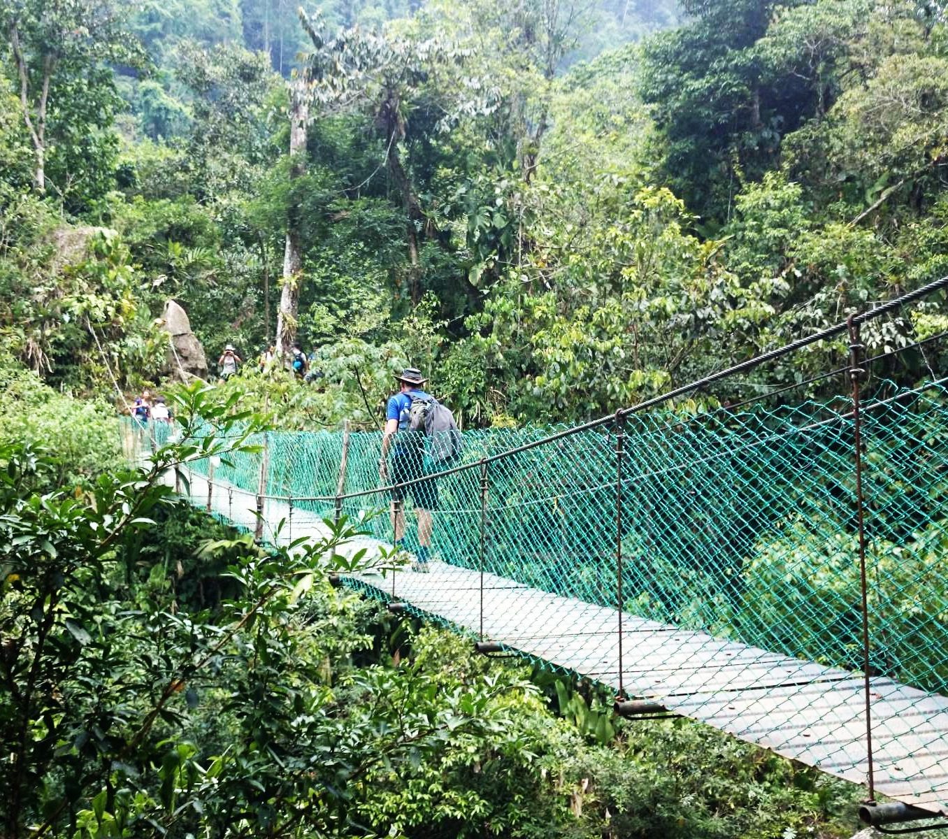 Rondreis Colombia, Ciudad Perdida, hangbrug
